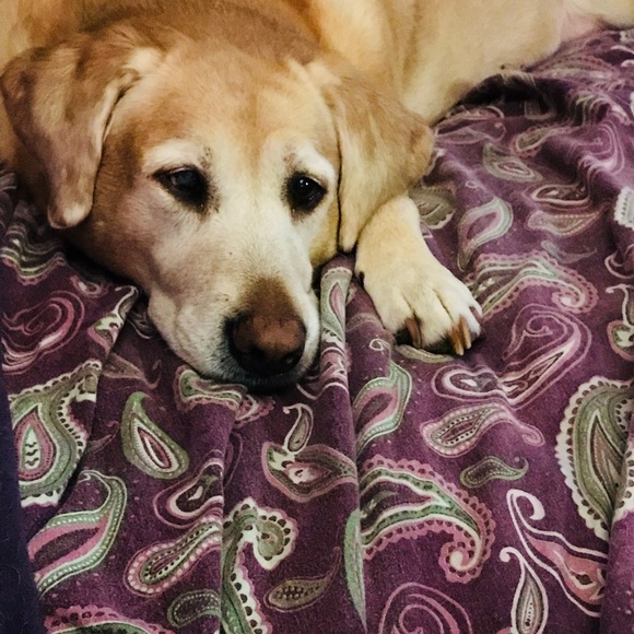 Meet your Posher, Krissy! - Picture 7 of 14